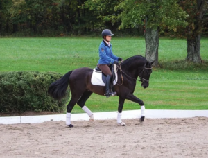 First Choice Farm Corinne Foxley Rides Aragon GAF at first level dressage